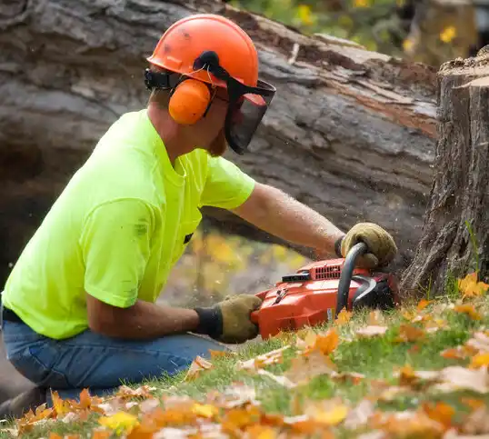 tree services Moscow Mills